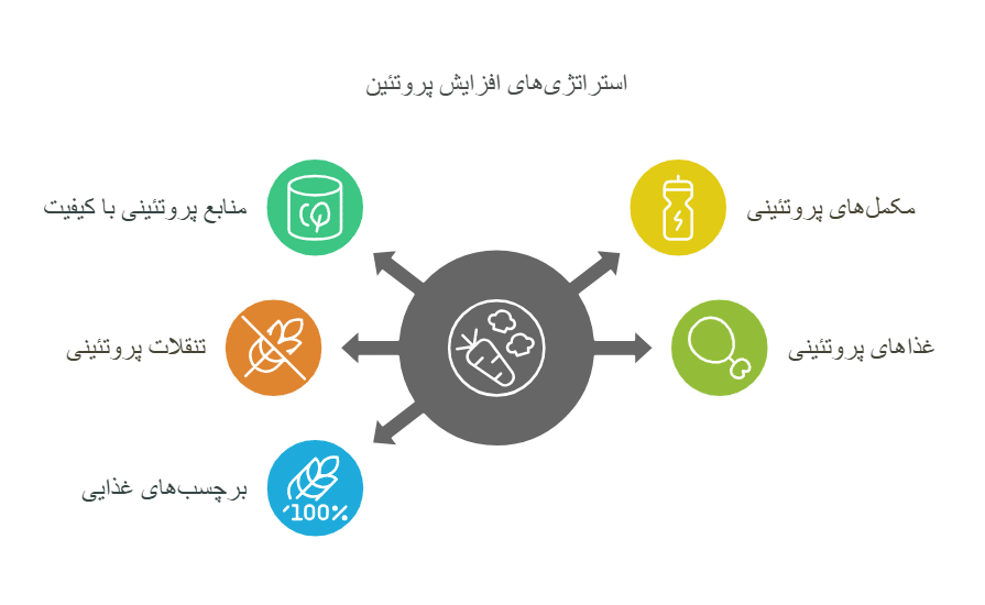 چطور پروتئین بیشتری در رژیم غذایی روزانه خود داشته باشیم؟ 3 image